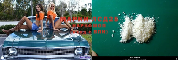 прущие грибы Касимов