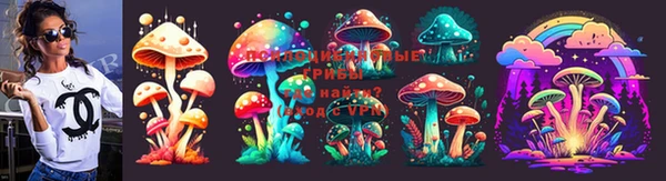 jwh Карпинск