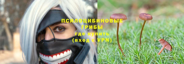 jwh Карпинск