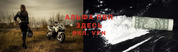 стаф Карталы