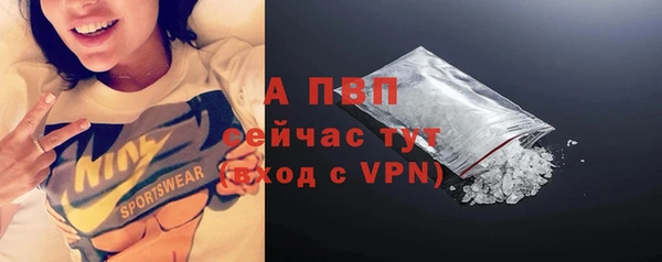 прущие грибы Касимов