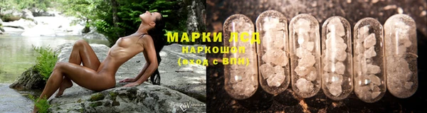 jwh Карпинск