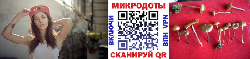 Псилоцибиновые грибы Cubensis  Купить закладки  Коряжма 